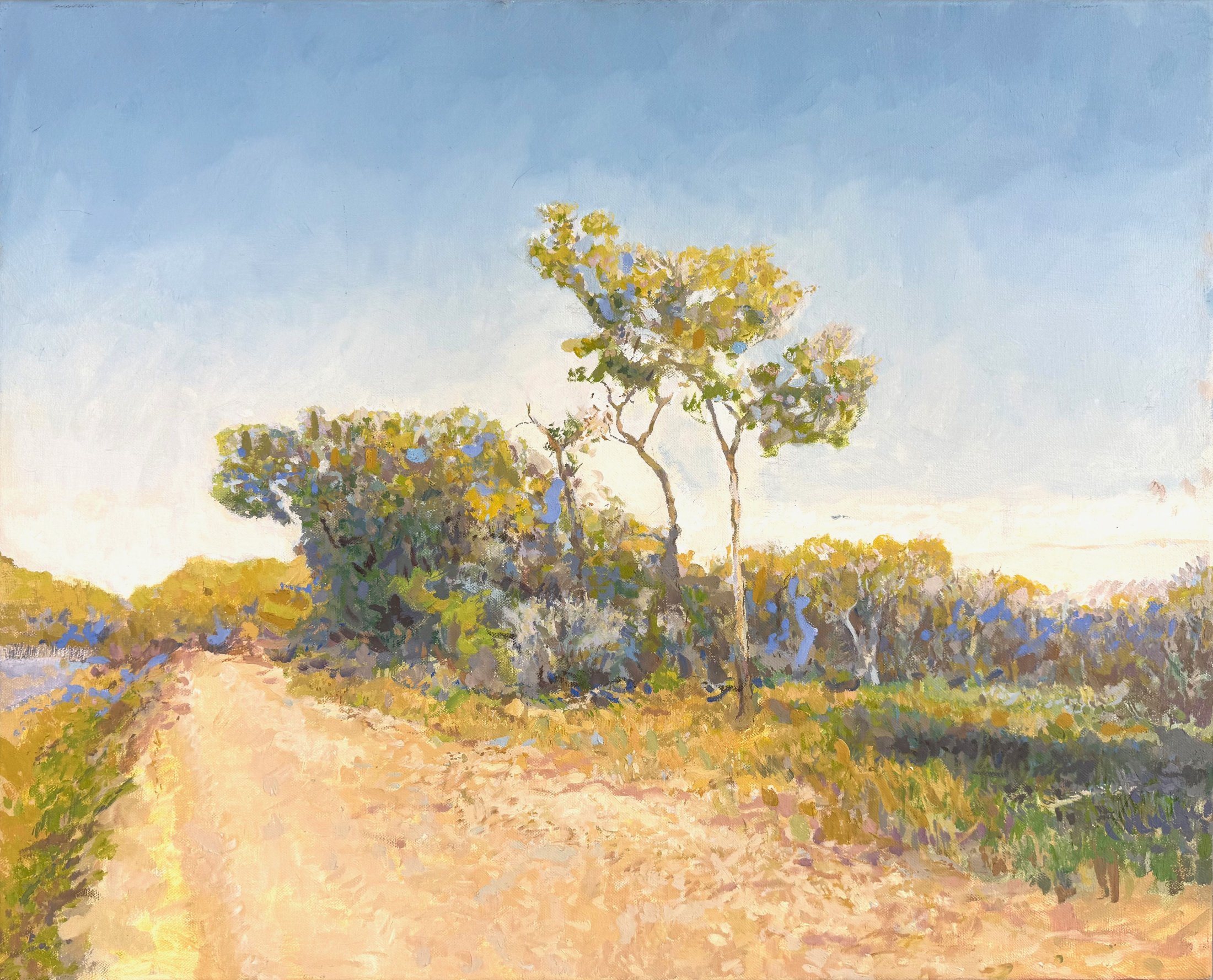 Bosque, Albuquerque, 23 x 28